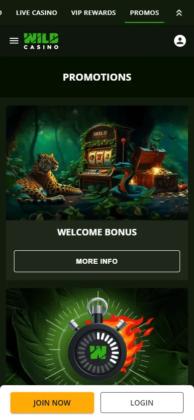 Wild Casino mobile browser promotions area with rewards and promotional offers